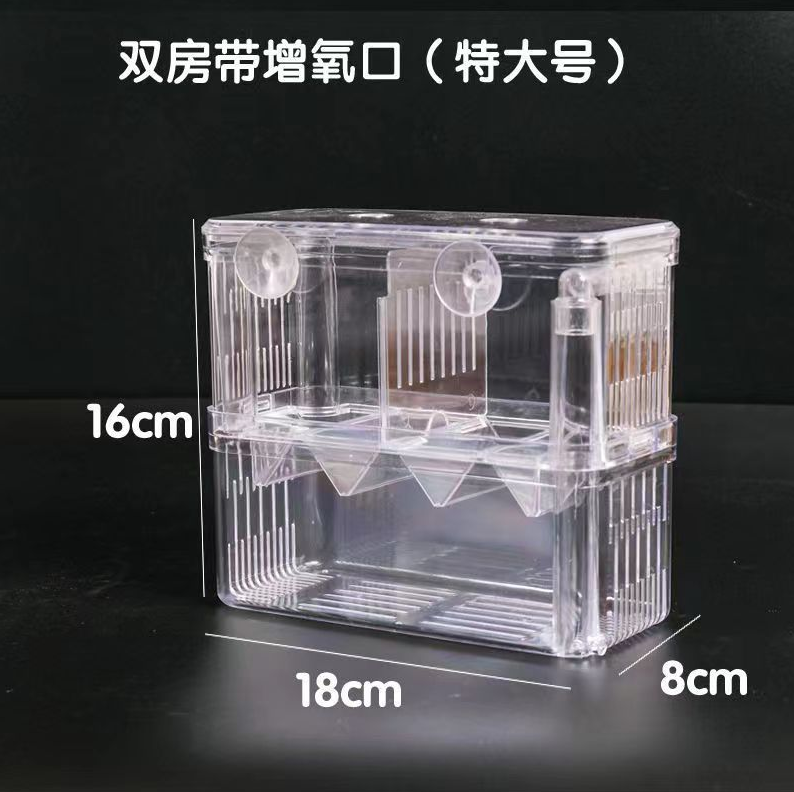 ขนาดใหญ่