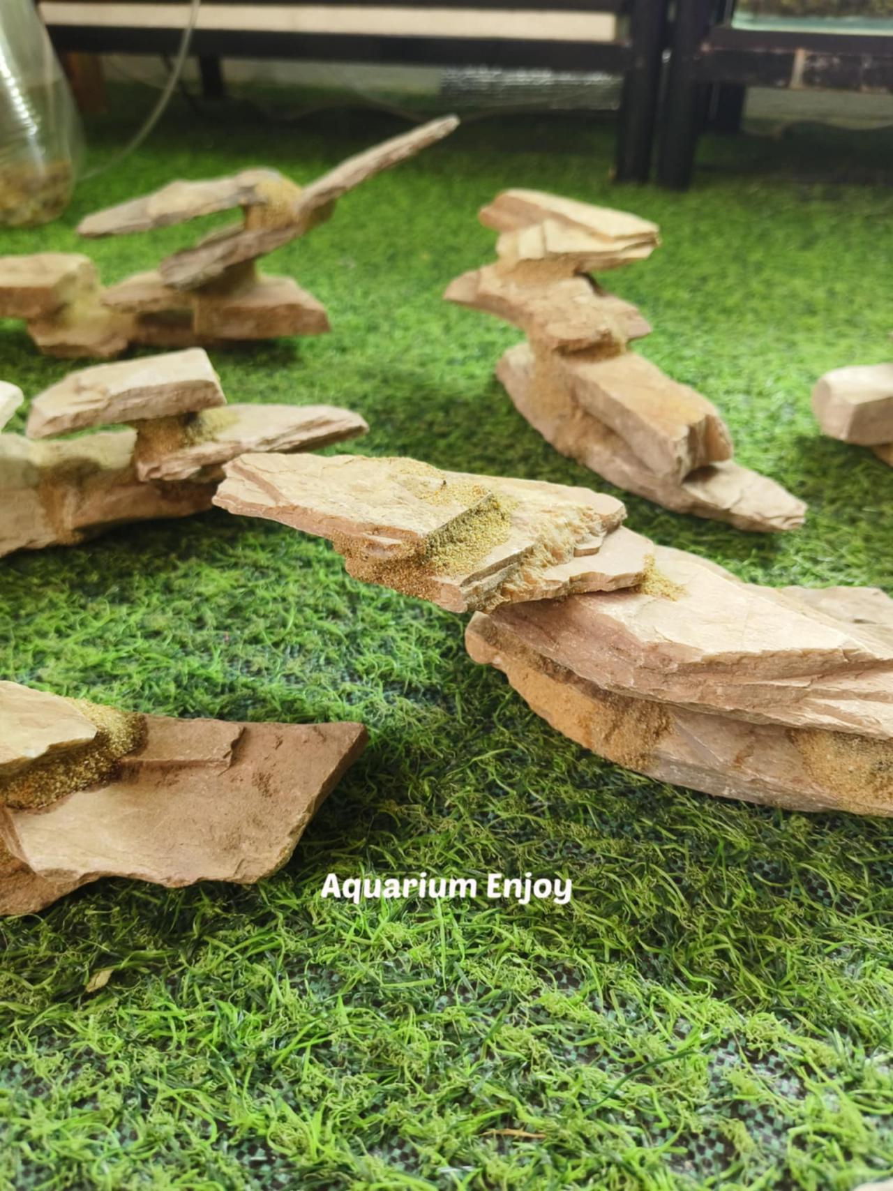 เซ็ต 2ชิ้น คุ้มกว่า