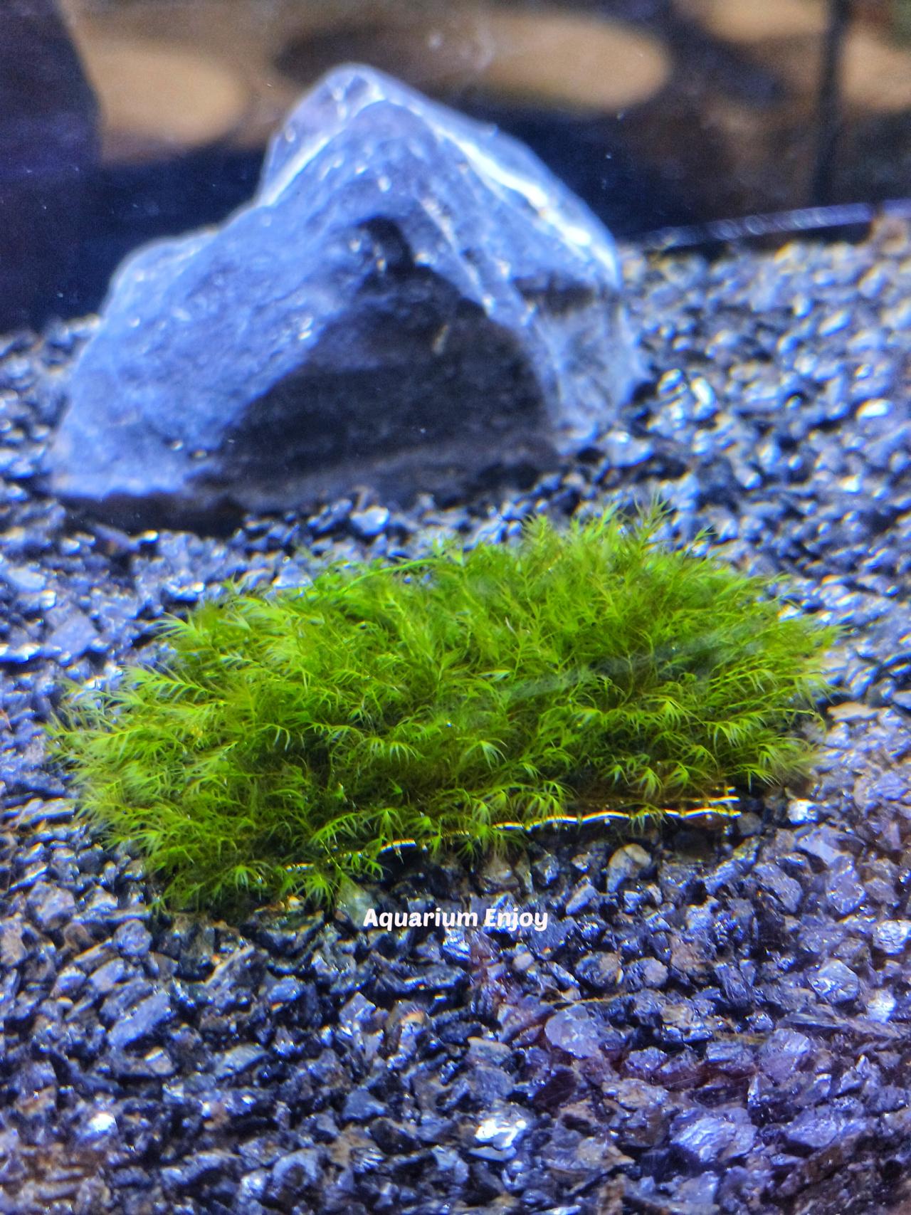 รูปสินค้า