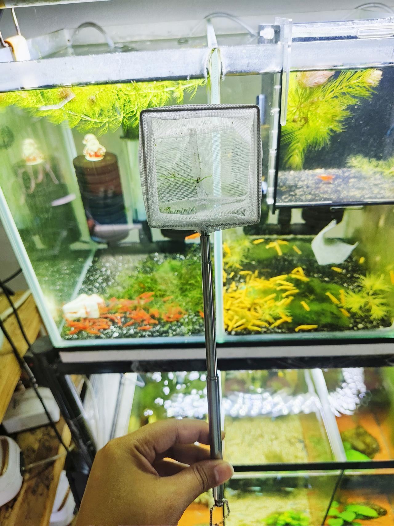 กระชอนอย่างดี 6.5 cm