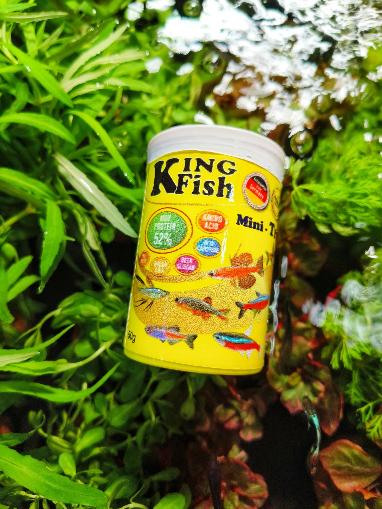 อาหารปลาคิงฟิชโฉมใหม่