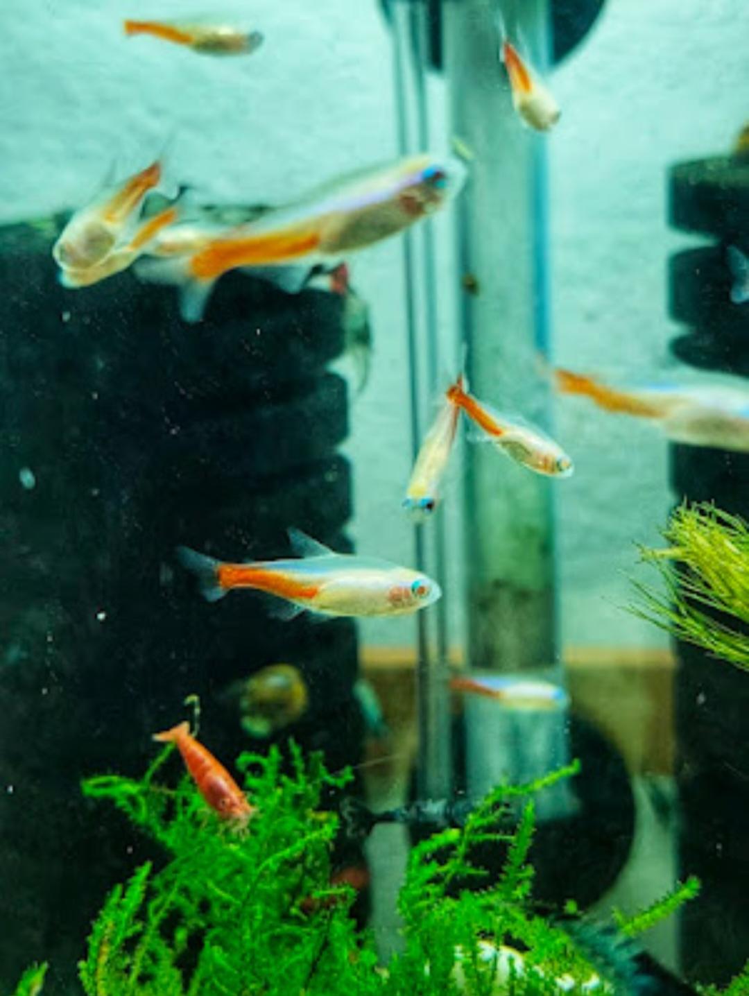 รูปสินค้า