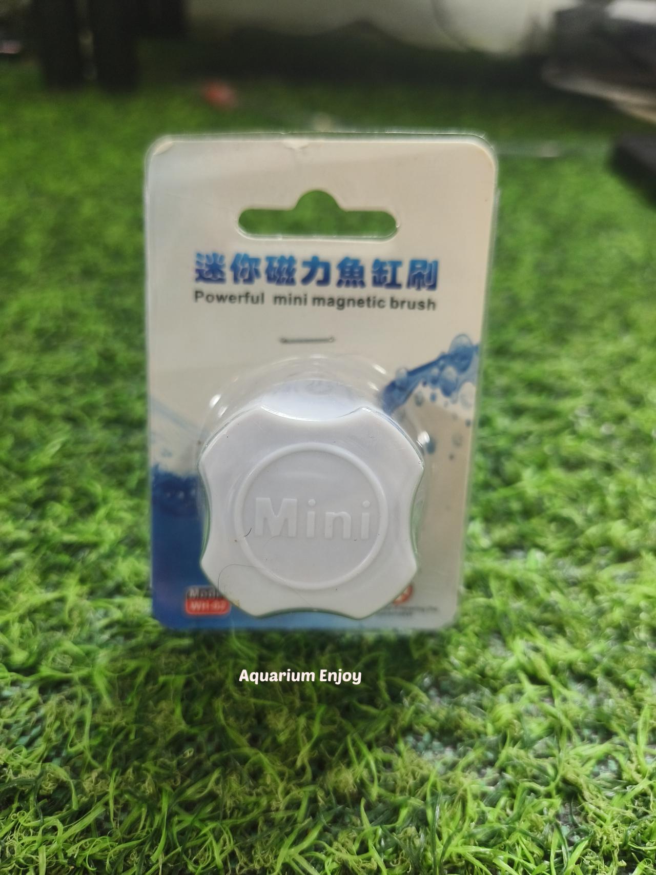 แปรงแม่เหล็ก