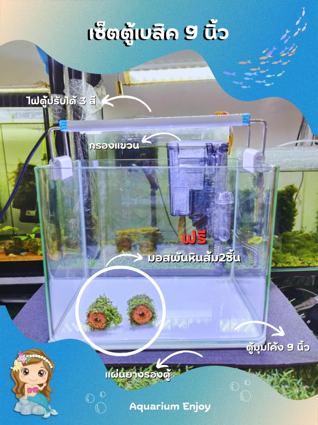 เซ็ตตู้เบสิค9นิ้ว