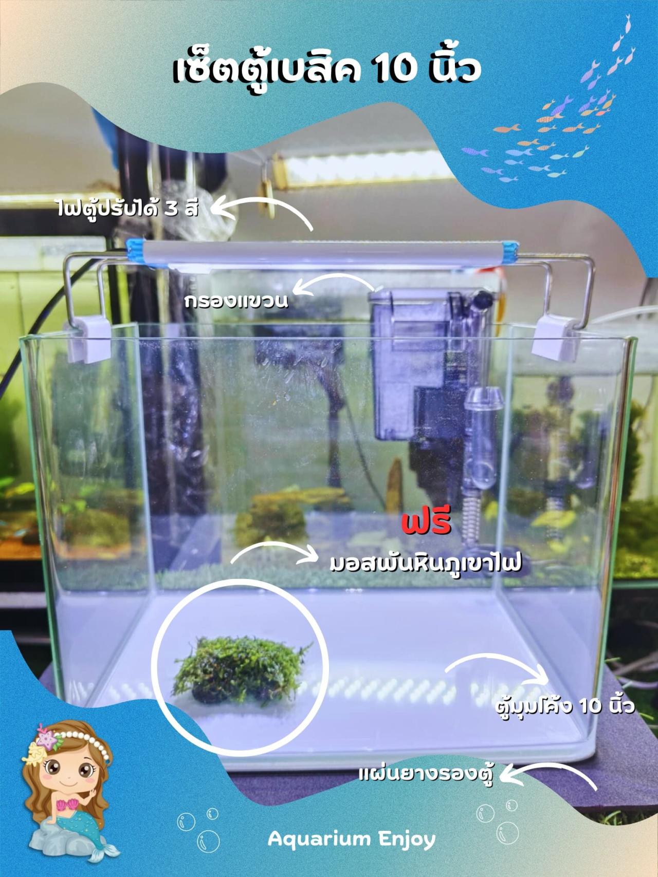 เซ็ตตู้เบสิค10นิ้ว