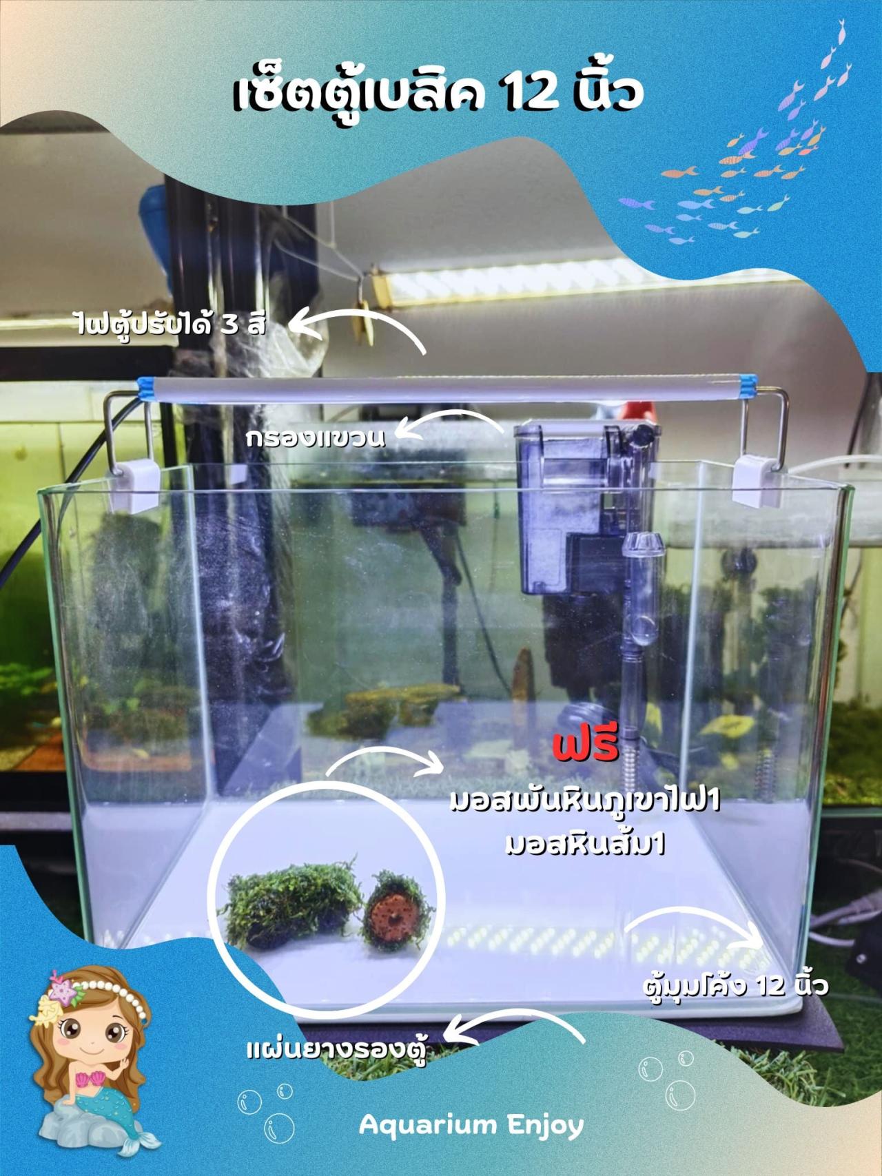 เซ็ตตู้เบสิค12นิ้ว