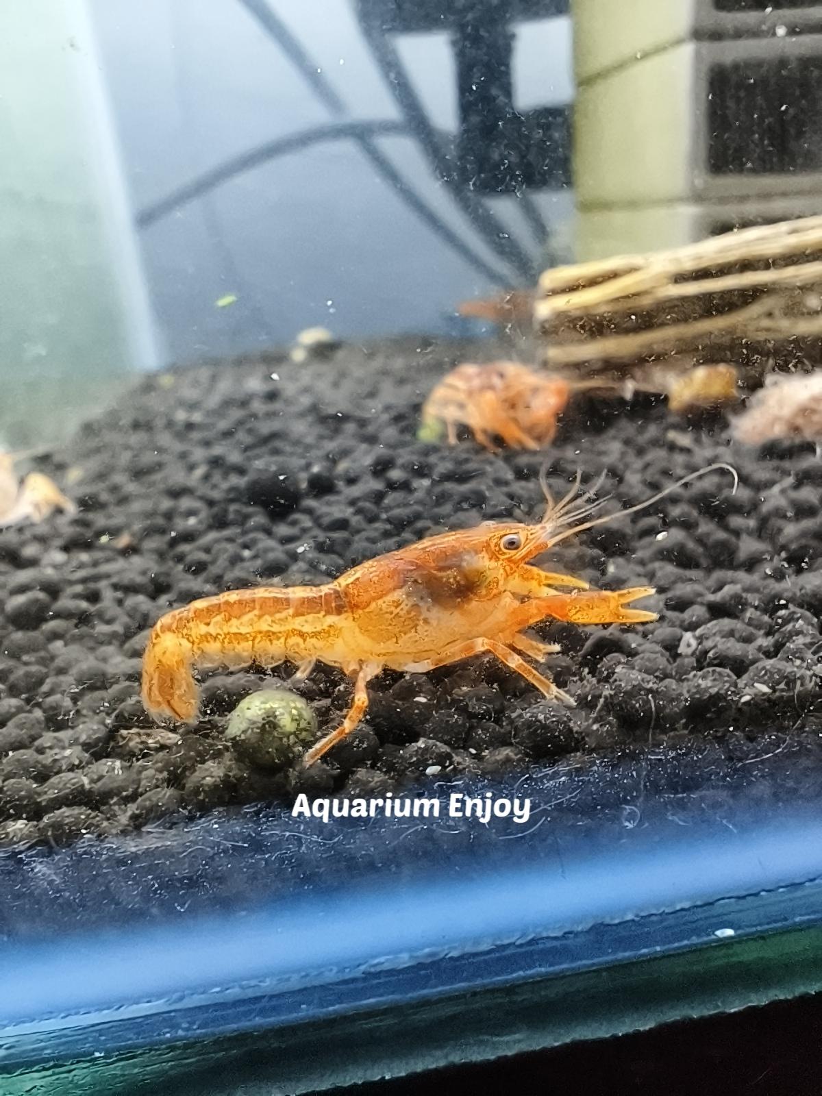 รูปสินค้า