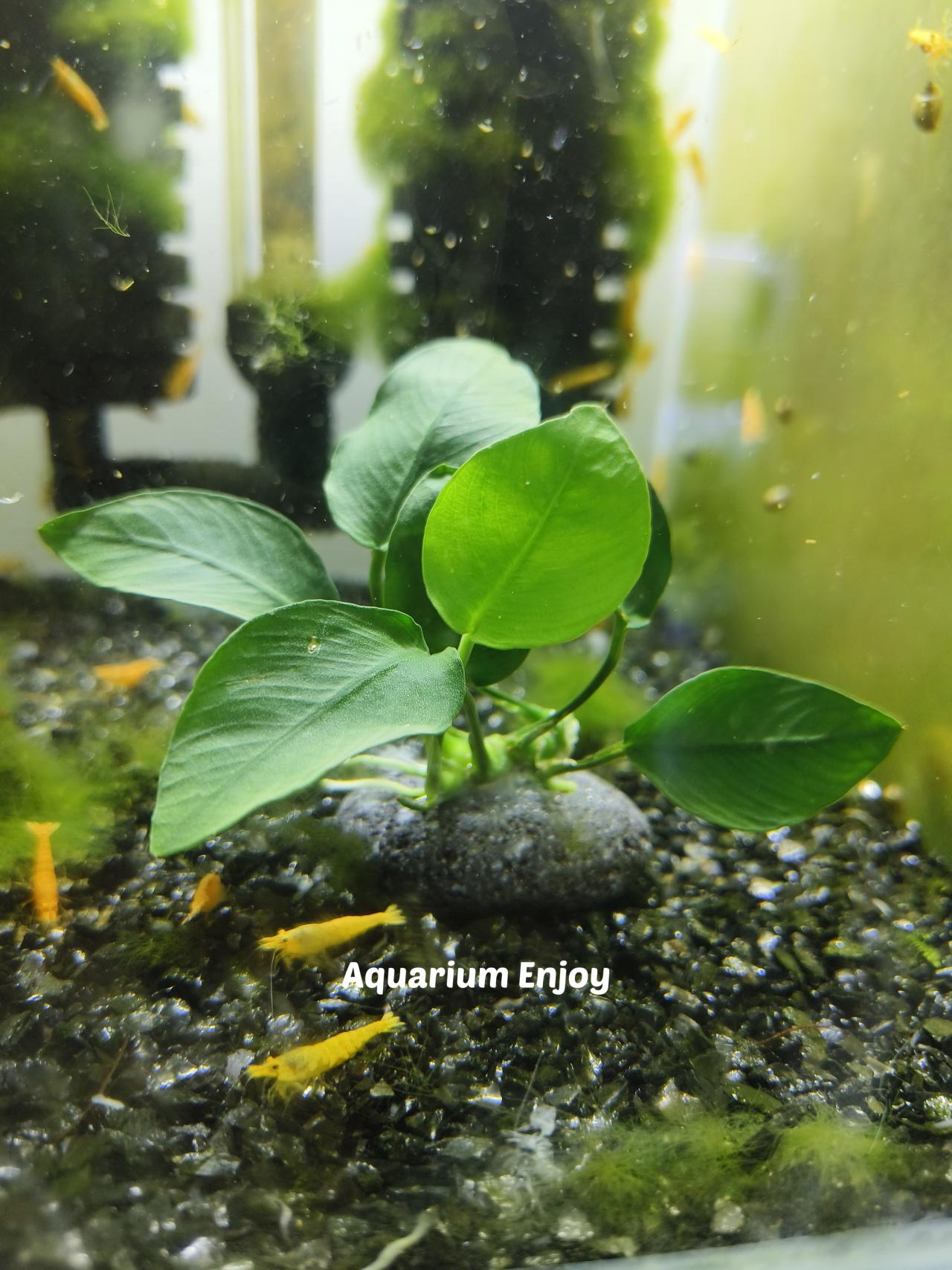 รูปสินค้า