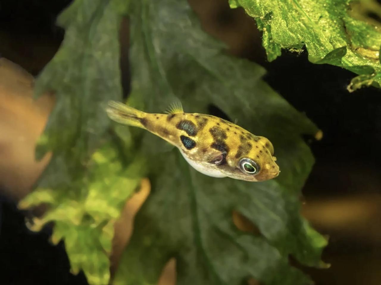 รูปสินค้า