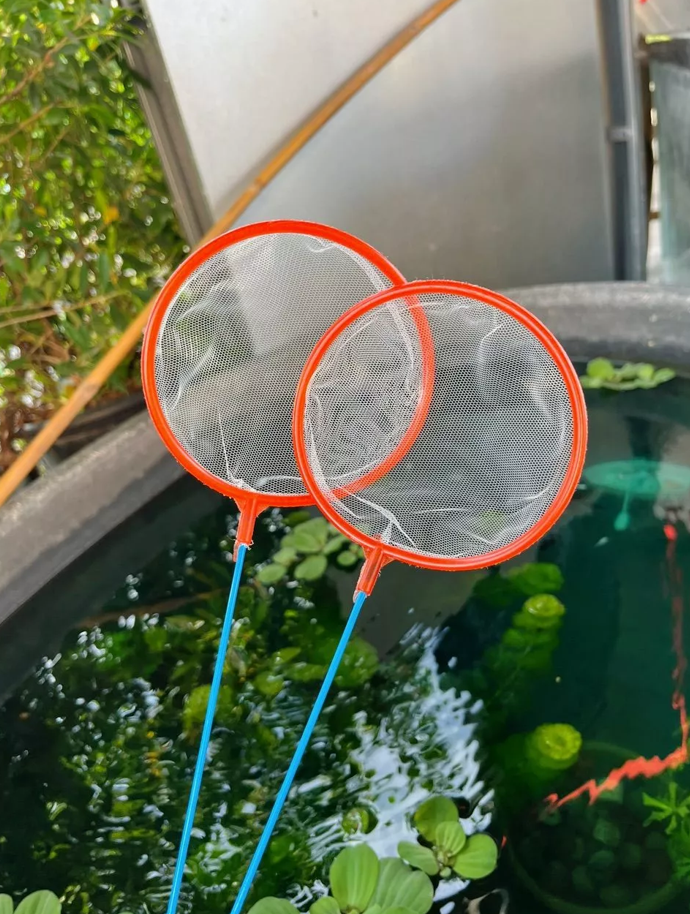 ไซส์ M (1อัน)