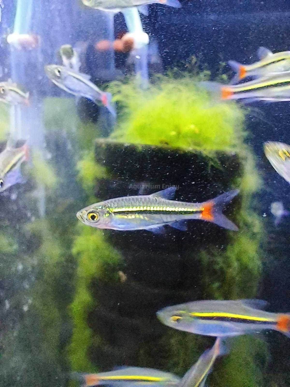 รูปสินค้า