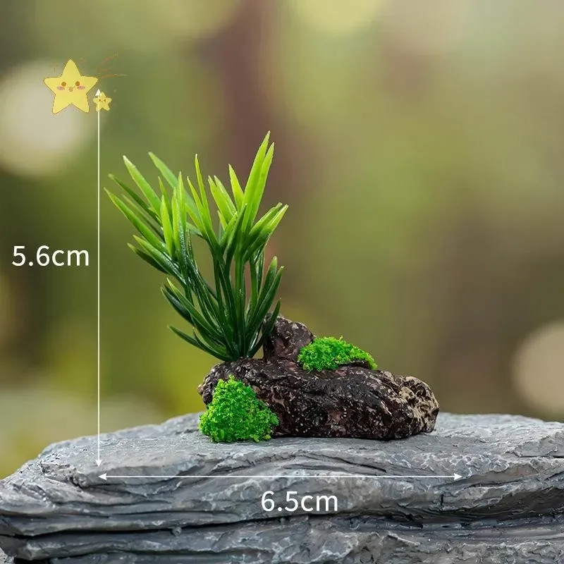 ต้นไม้จิ๋ว A1