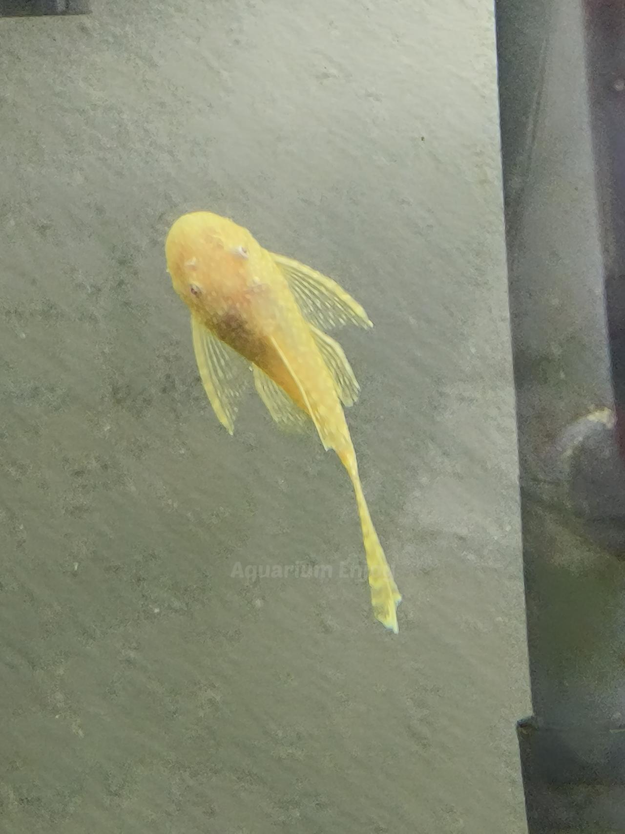 รูปสินค้า