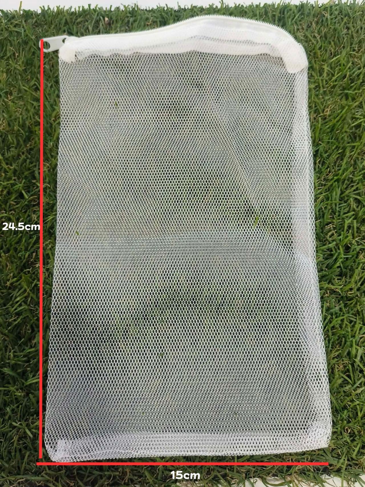 ไซส์กลาง