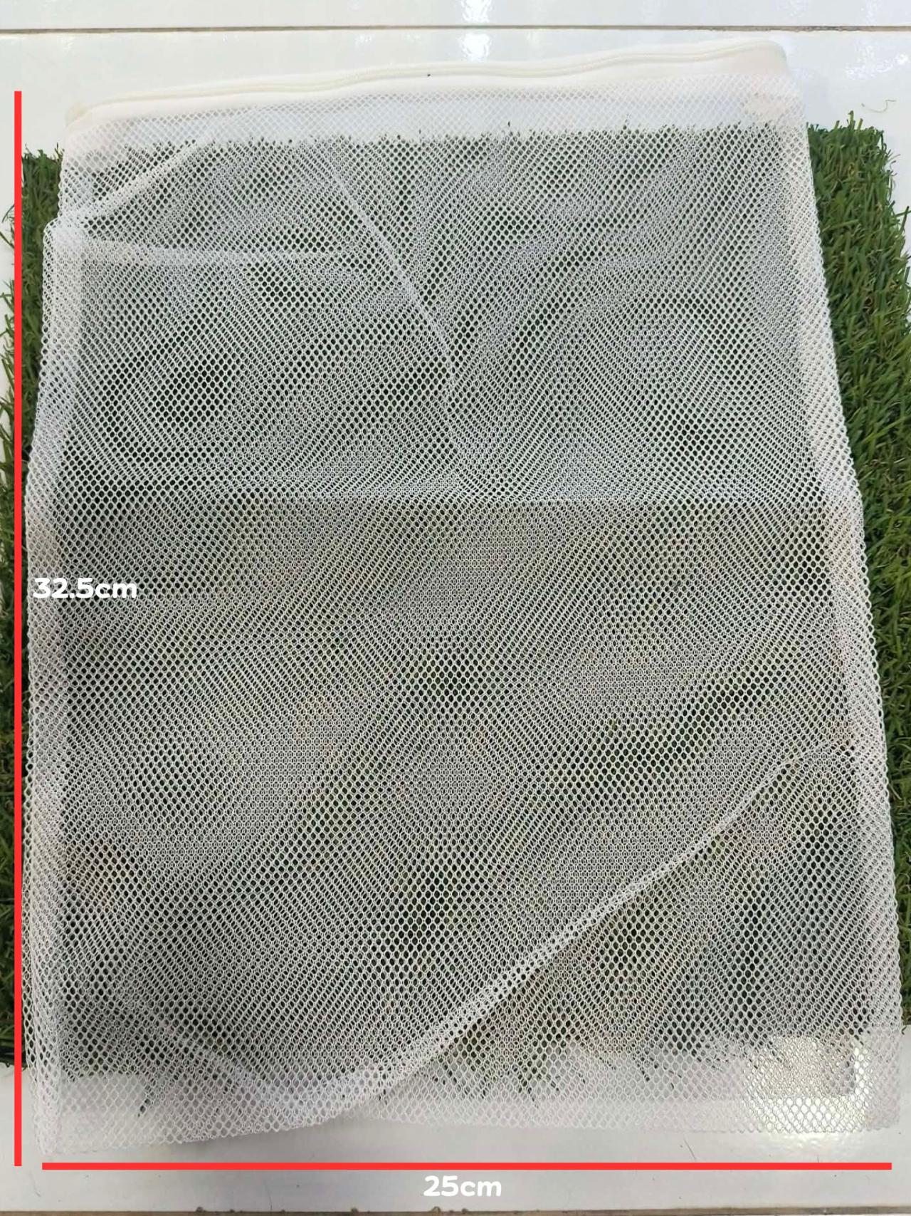 ไซส์ใหญ่