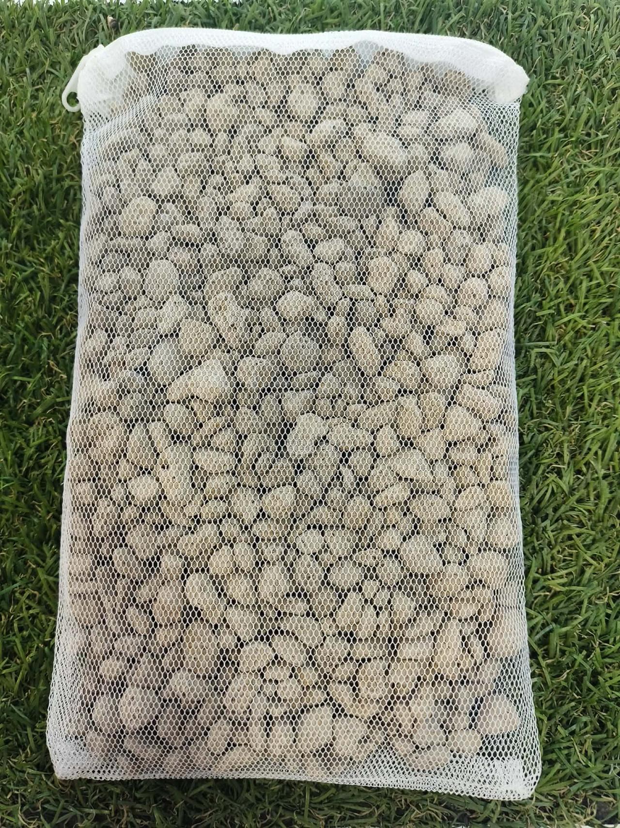 ไซส์ใหญ่1กิโล