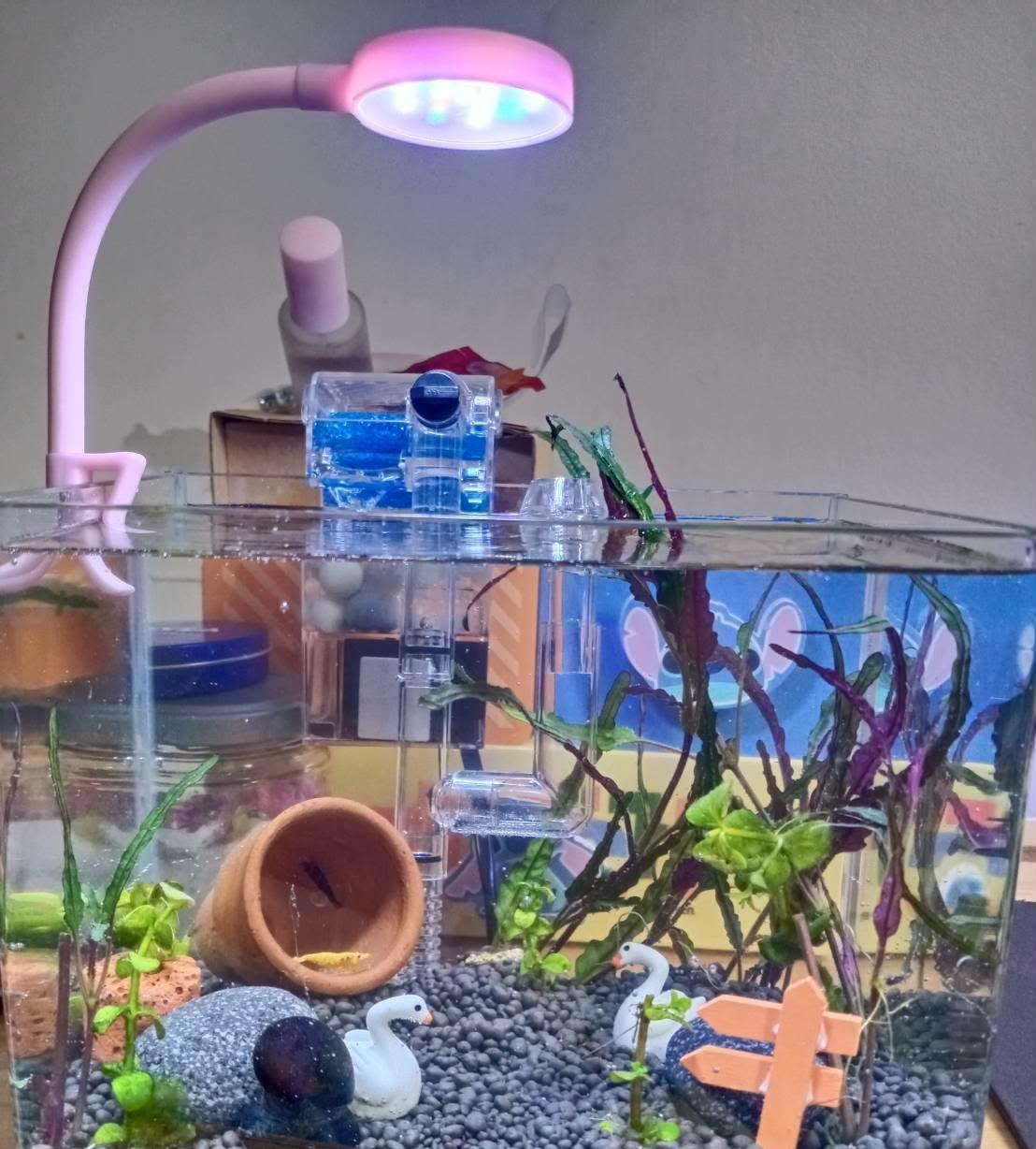 รูปสินค้า