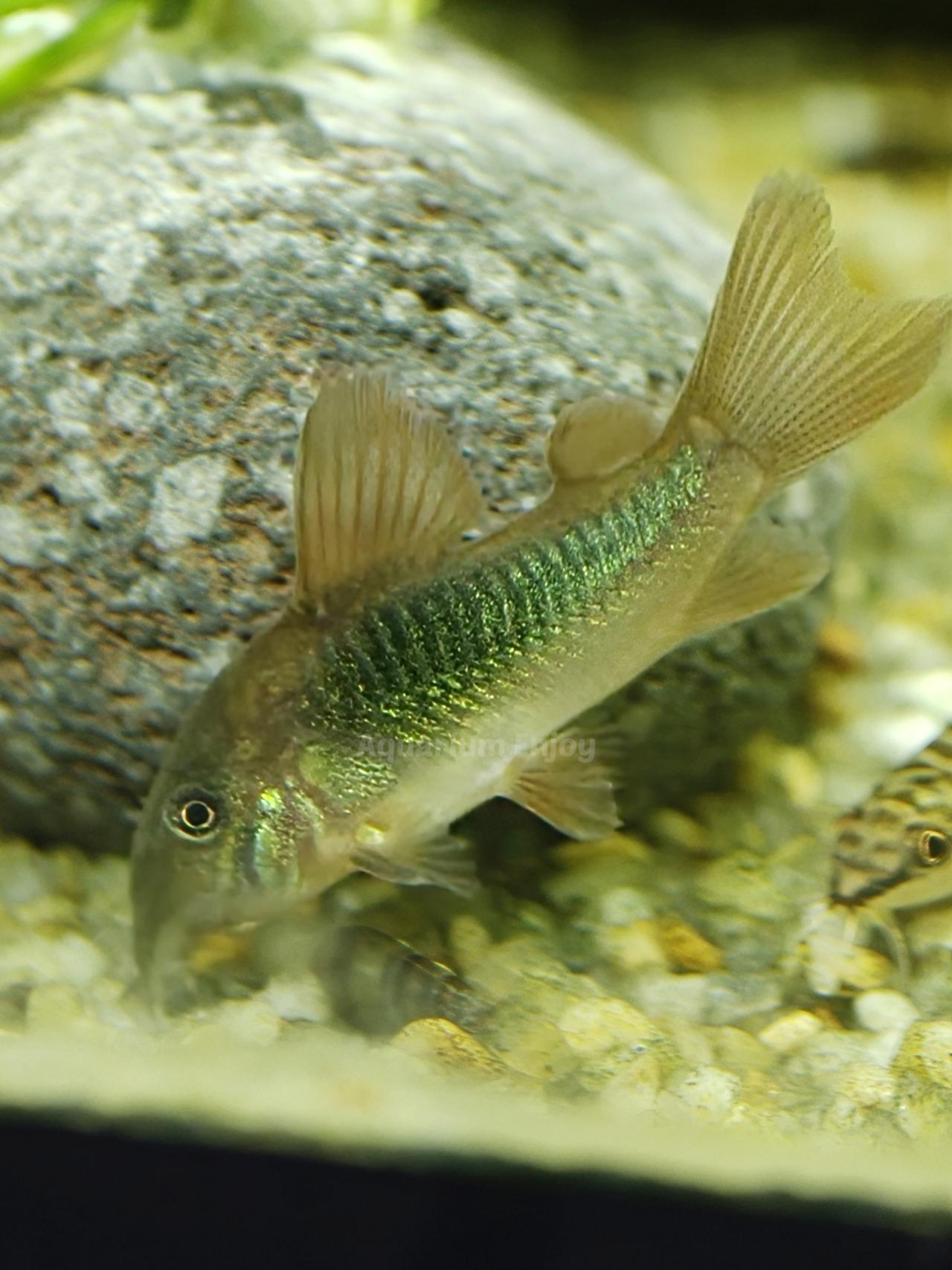 รูปสินค้า