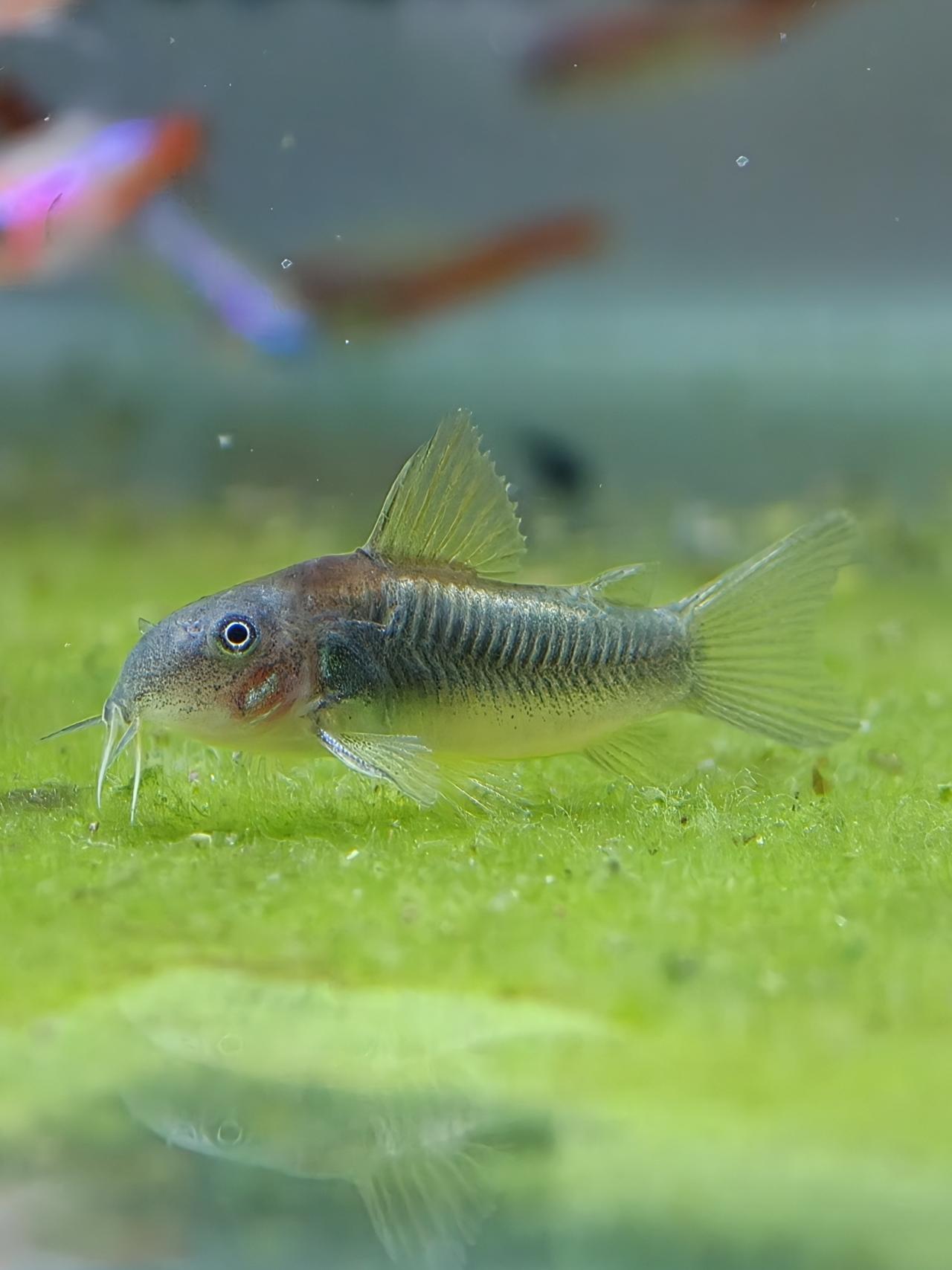 รูปสินค้า