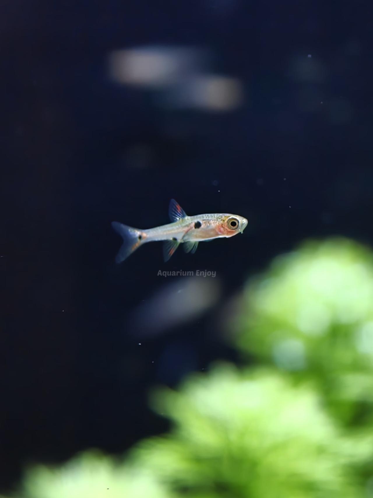 รูปสินค้า