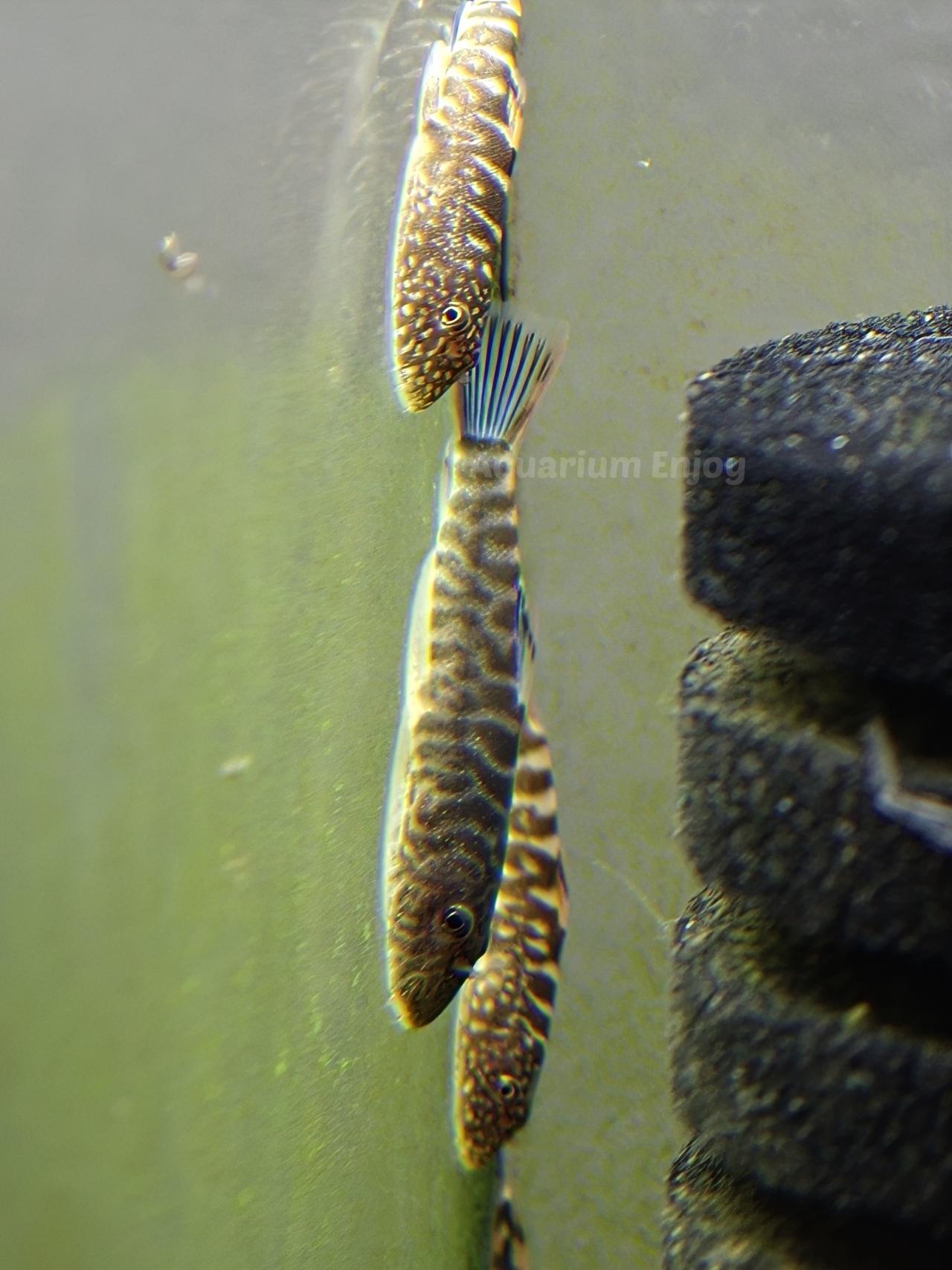 รูปสินค้า