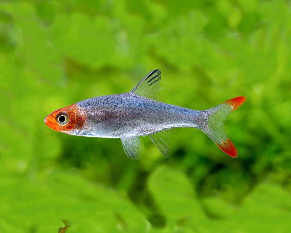 รูปสินค้า