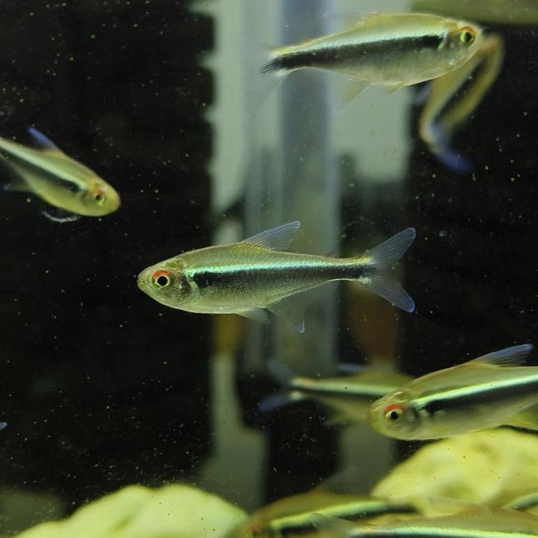 รูปสินค้า