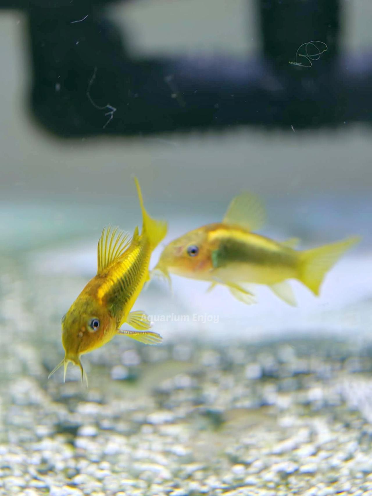 รูปสินค้า