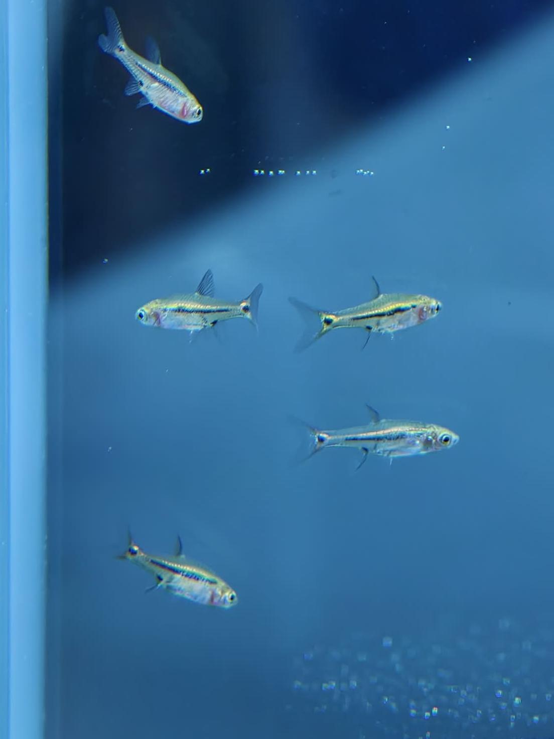 รูปสินค้า