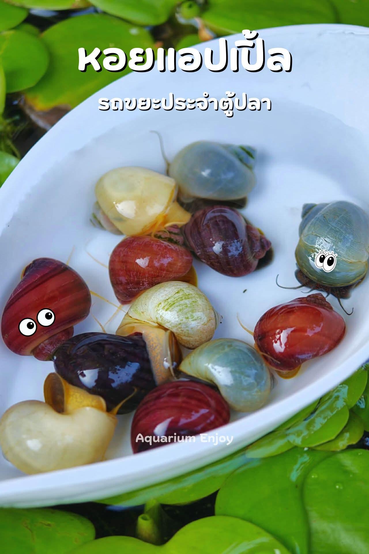 รูปสินค้า