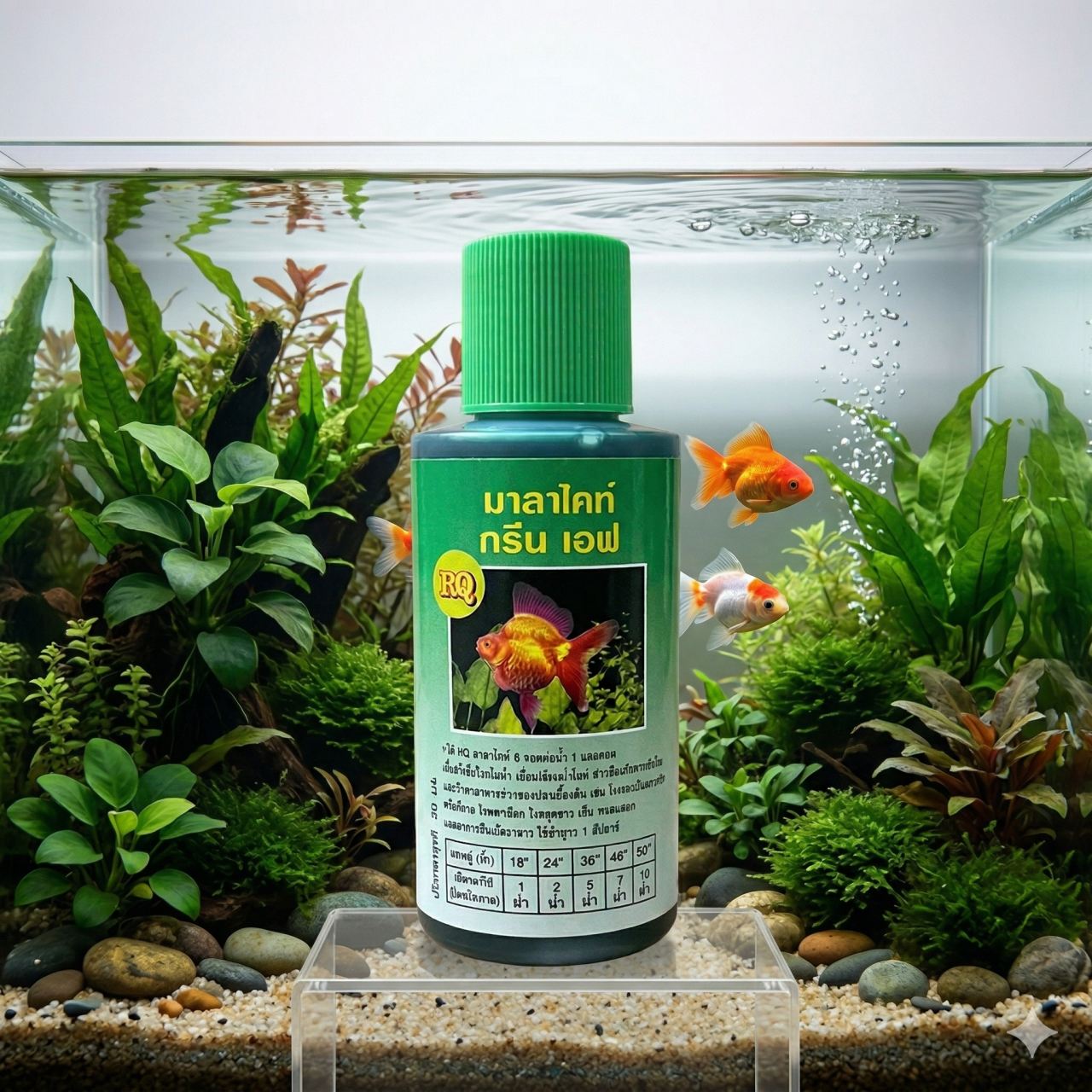 รูปสินค้า