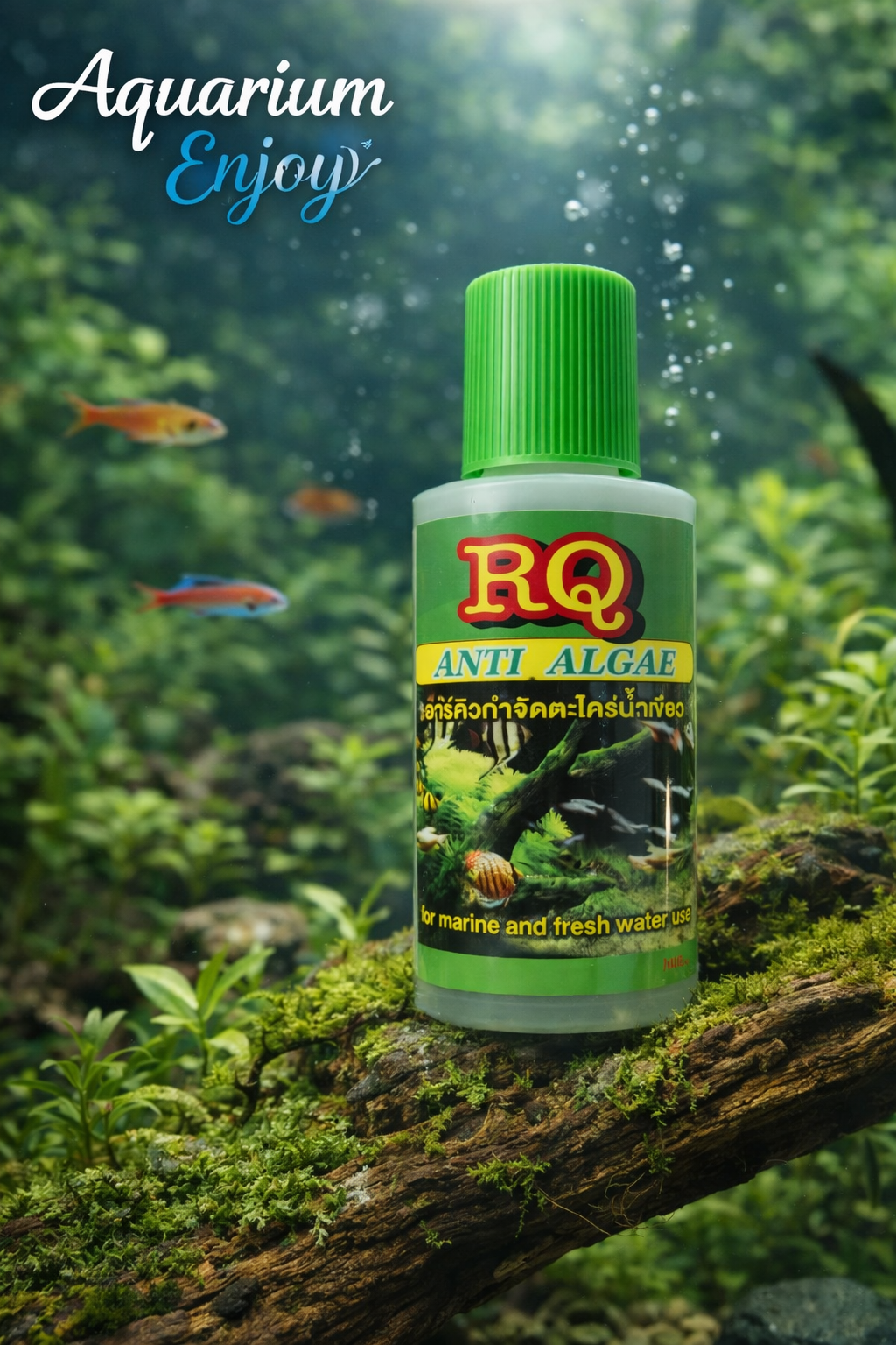 RQ Anti Algae 30ML