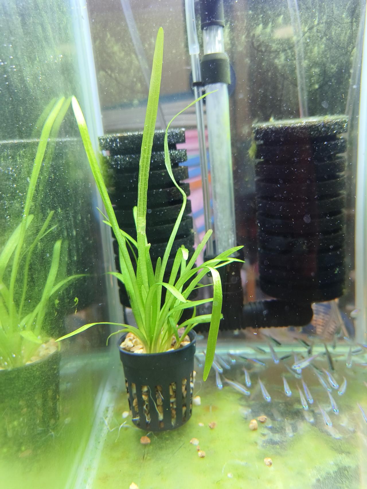 รูปสินค้า