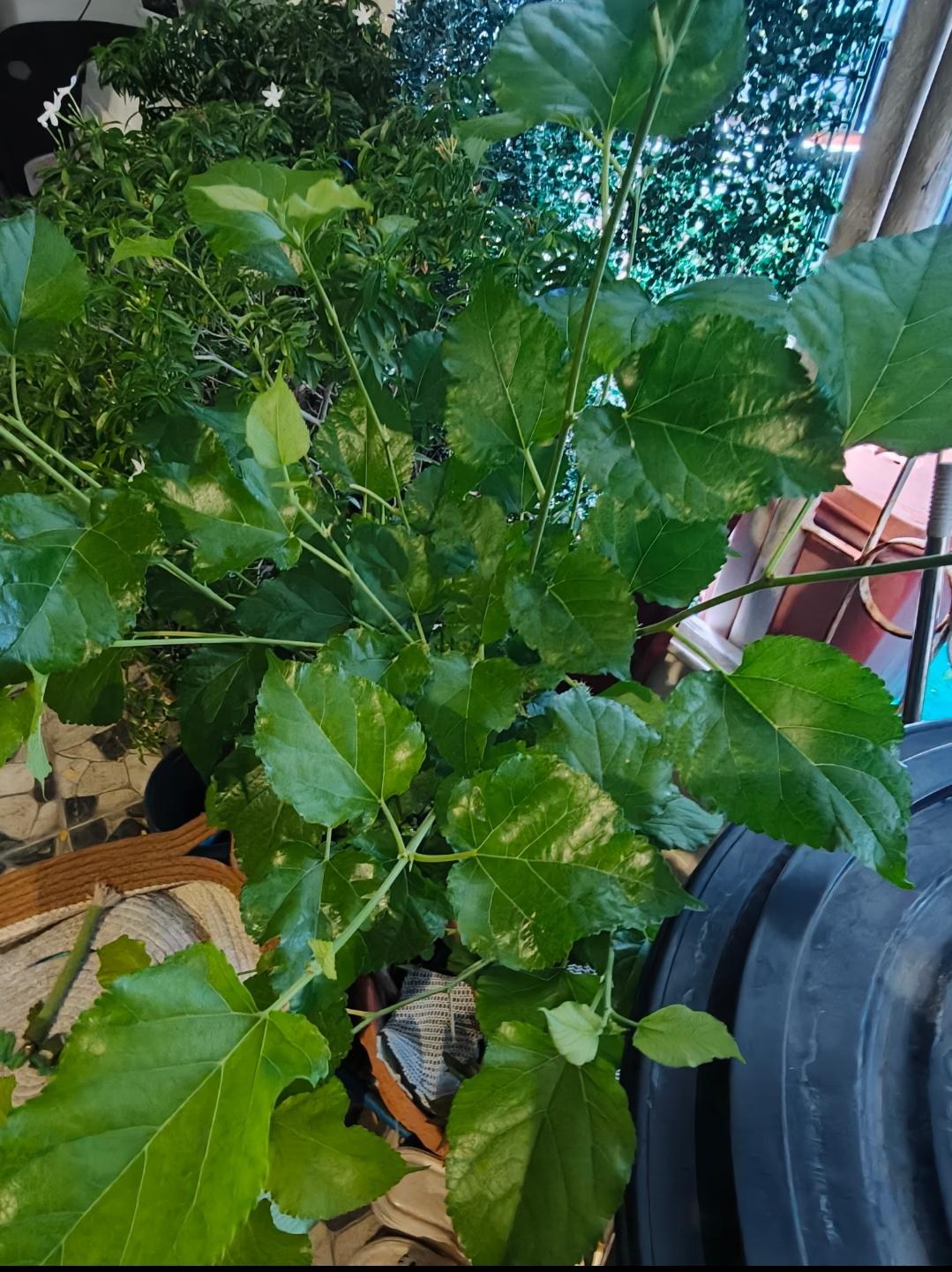 รูปสินค้า