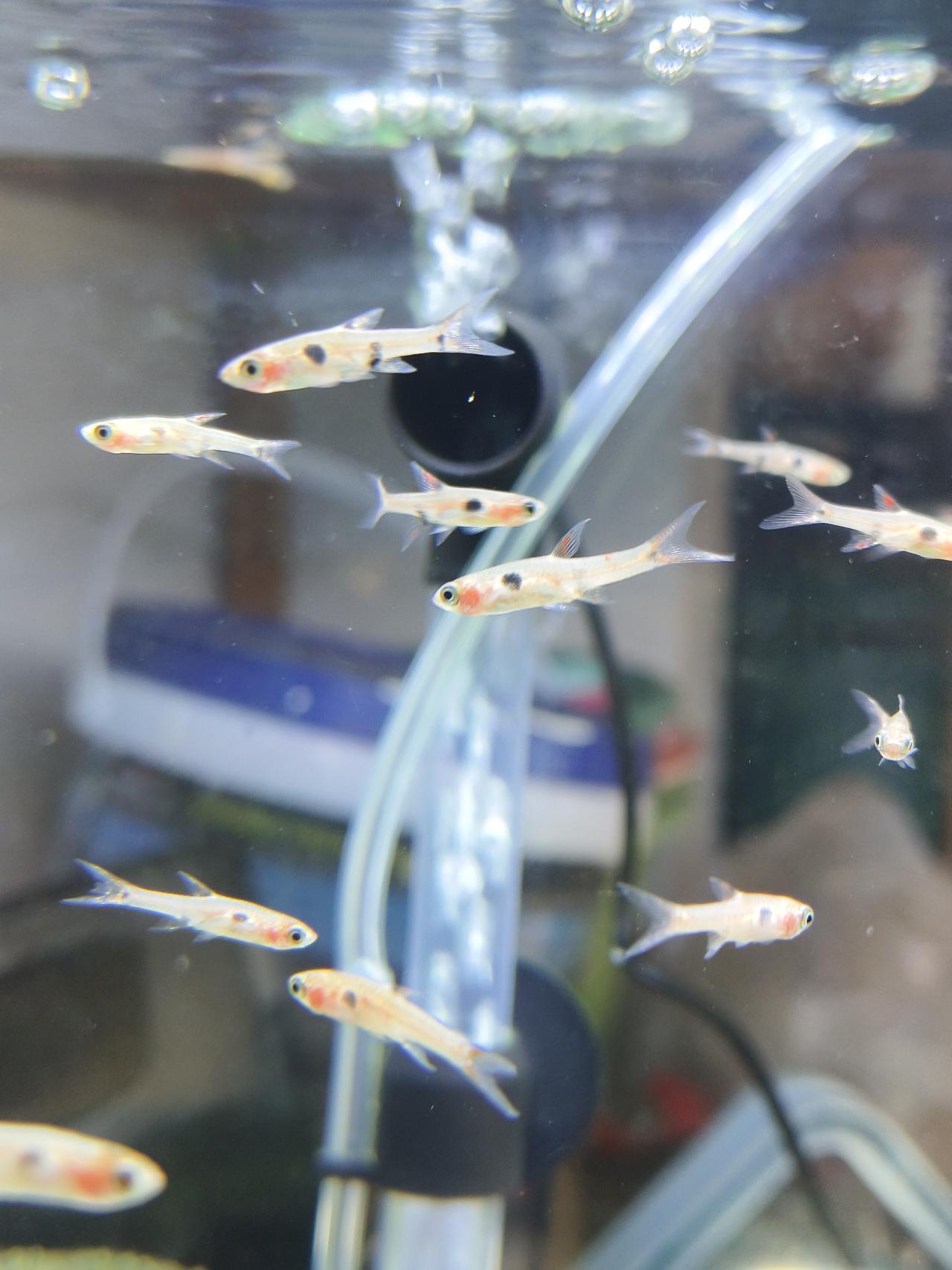 รูปสินค้า