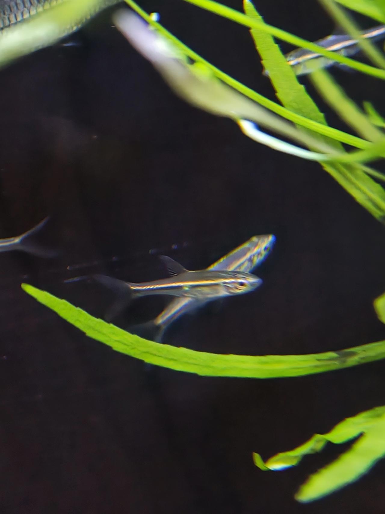 รูปสินค้า