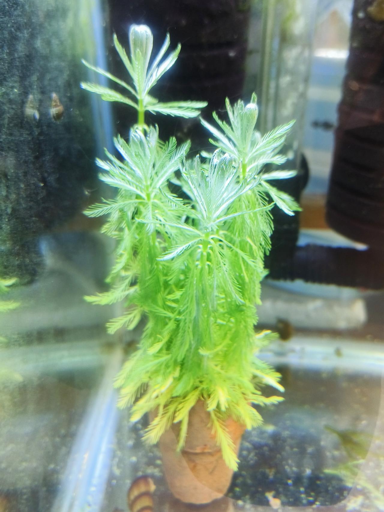 รูปสินค้า