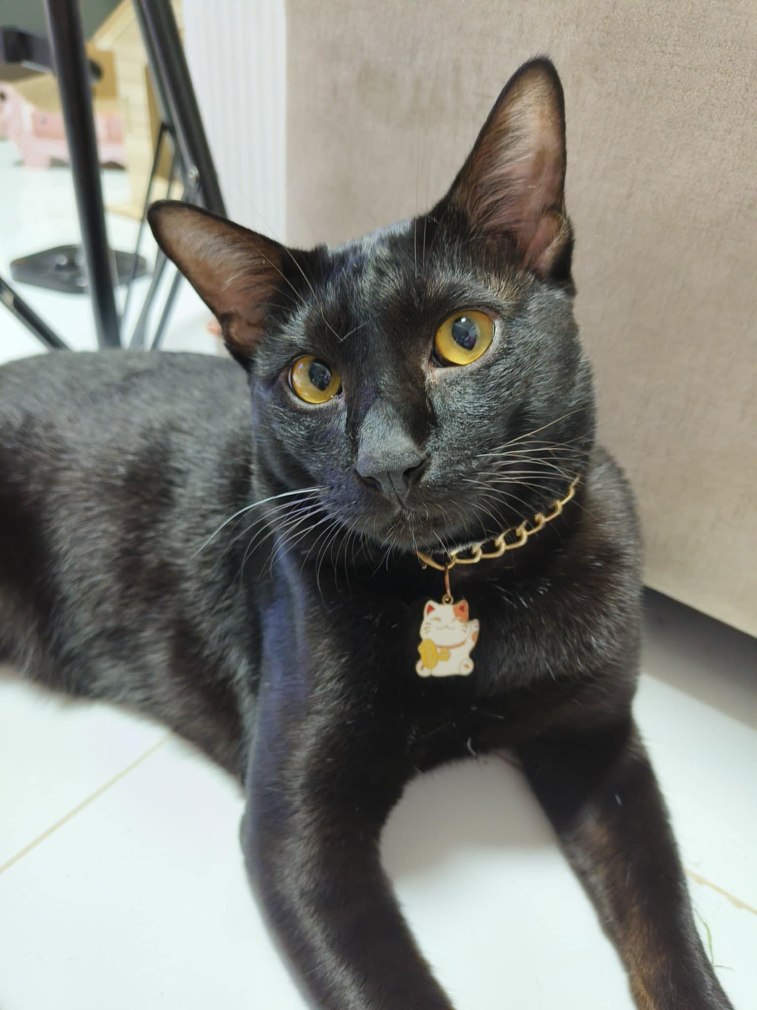 โอเลี้ยง(ลูกอ้อนแอ้น)