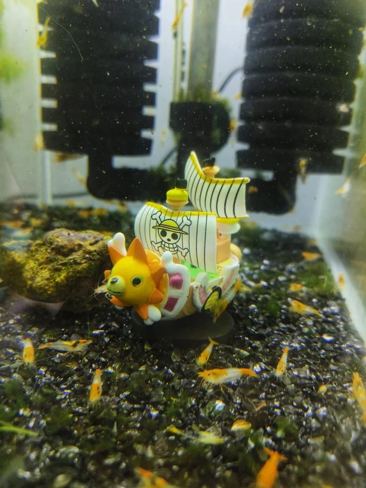 Thousand Sunny