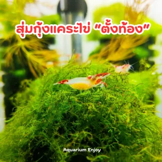 รูปสินค้า