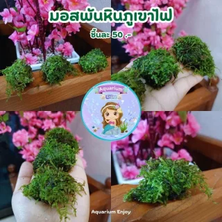 รูปสินค้า
