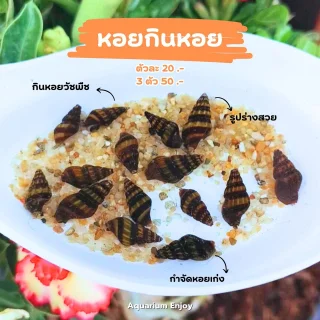 รูปสินค้า