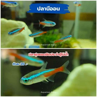 รูปสินค้า
