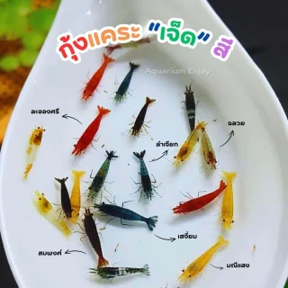 รูปสินค้า