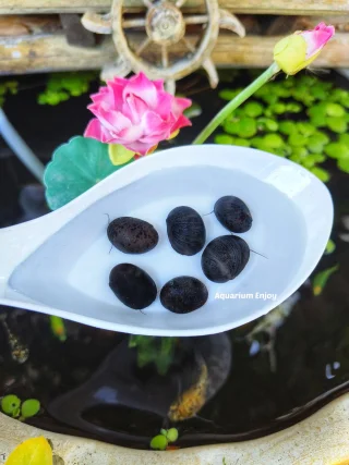 รูปสินค้า
